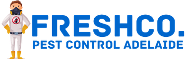 Pest Control 4 Adelaide