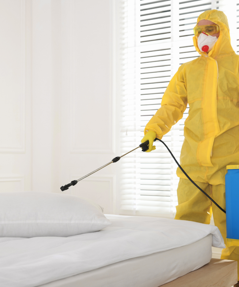 Professional Pest Control Team in Upper Hermitage